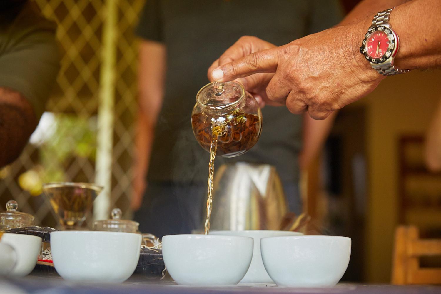 Traditional Tea Plantation