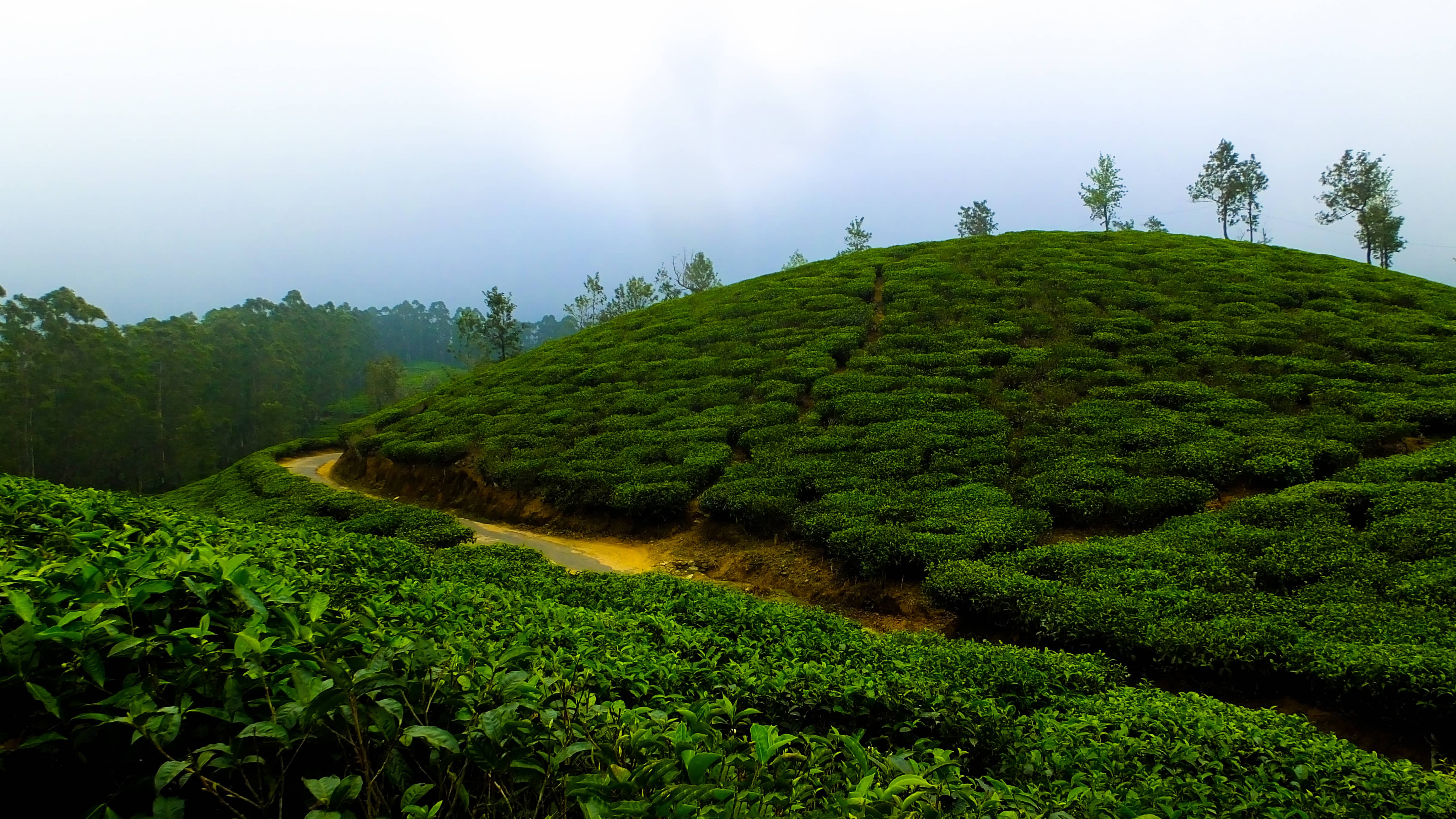 Beautiful Sri Lankan landscape 1