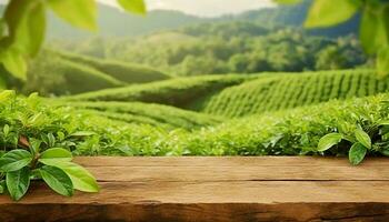 Beautiful Sri Lankan landscape 2